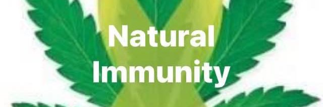 Scott Carlson banner