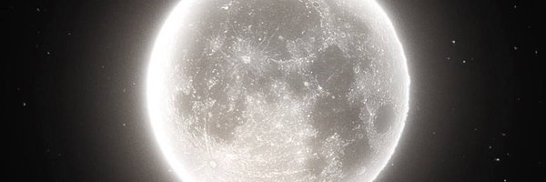 damselate Profile Banner