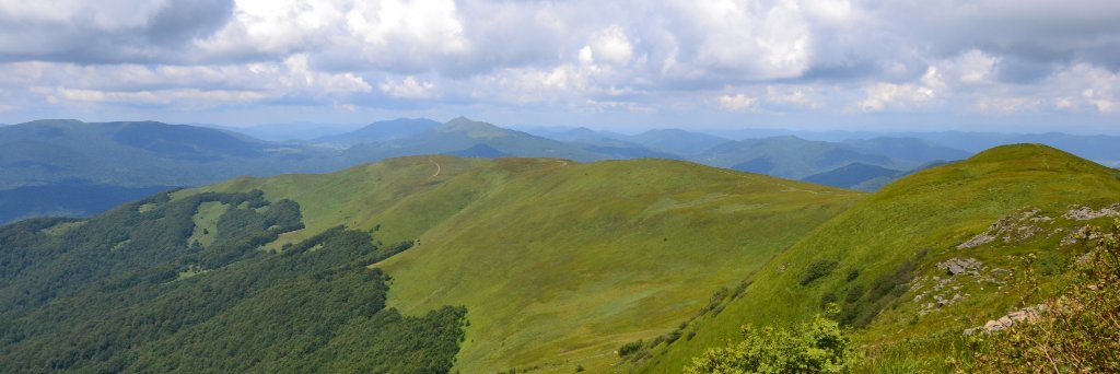 wojtasw's profile banner image
