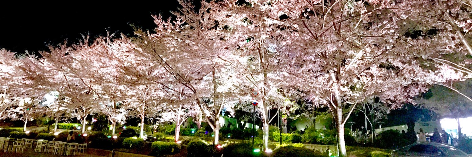 kr_moimoi's profile banner image