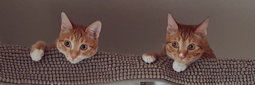 홍성우 hongsungwoo banner