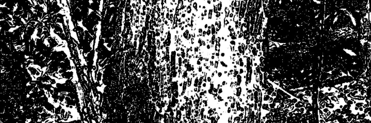 174397404x's profile banner image