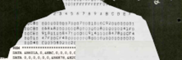 randomizer88996 Profile Banner