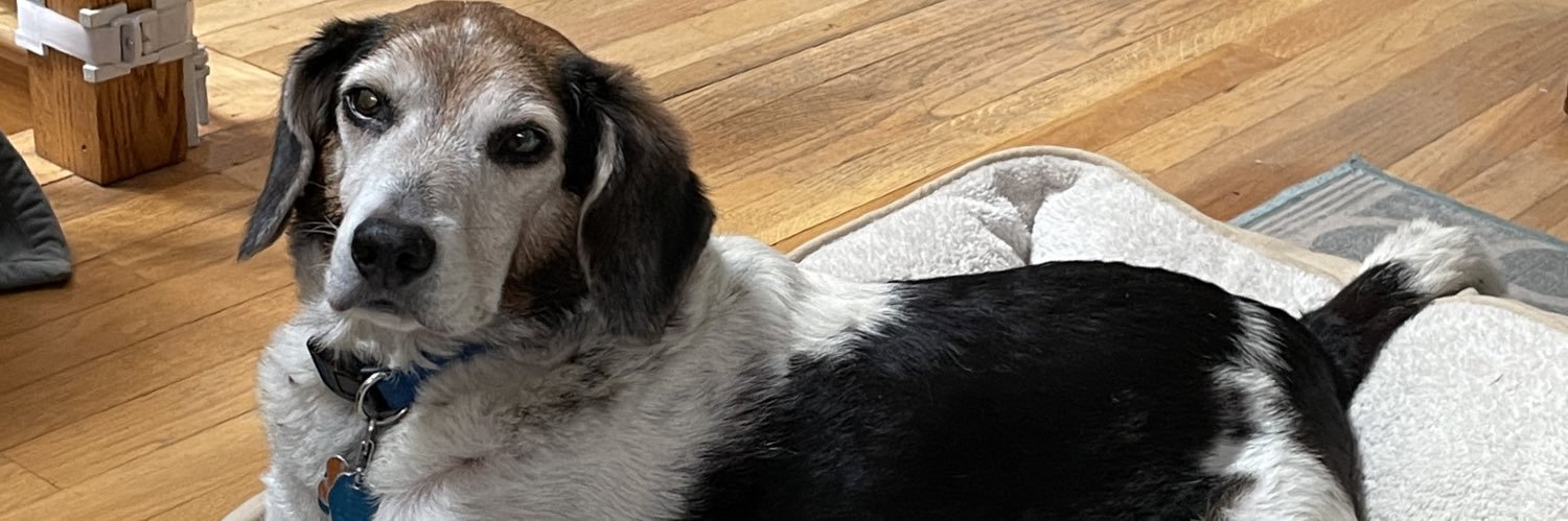 Beagle Dad banner