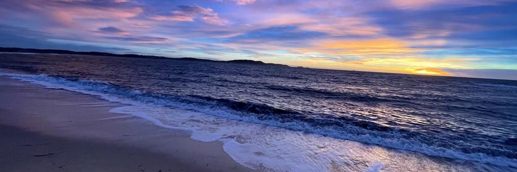 Jessie Pittman 📊🤖 banner