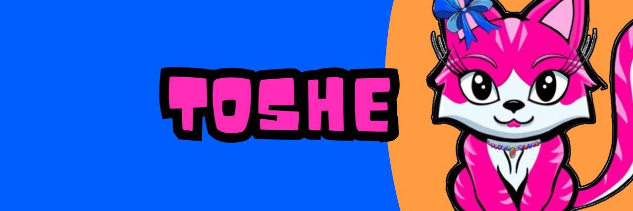Toshe on Base banner