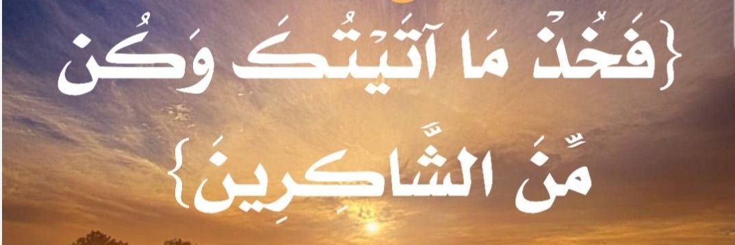 K_q8_m's profile banner image