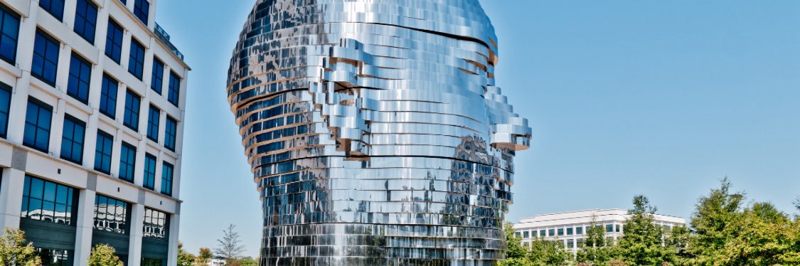 Scott 🌻🇺🇸🦅 banner