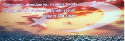 Ycl YLMZ banner