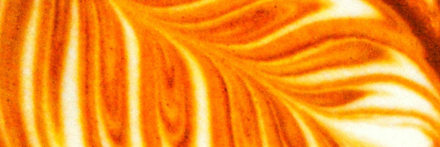 rosettalatteart's profile banner image