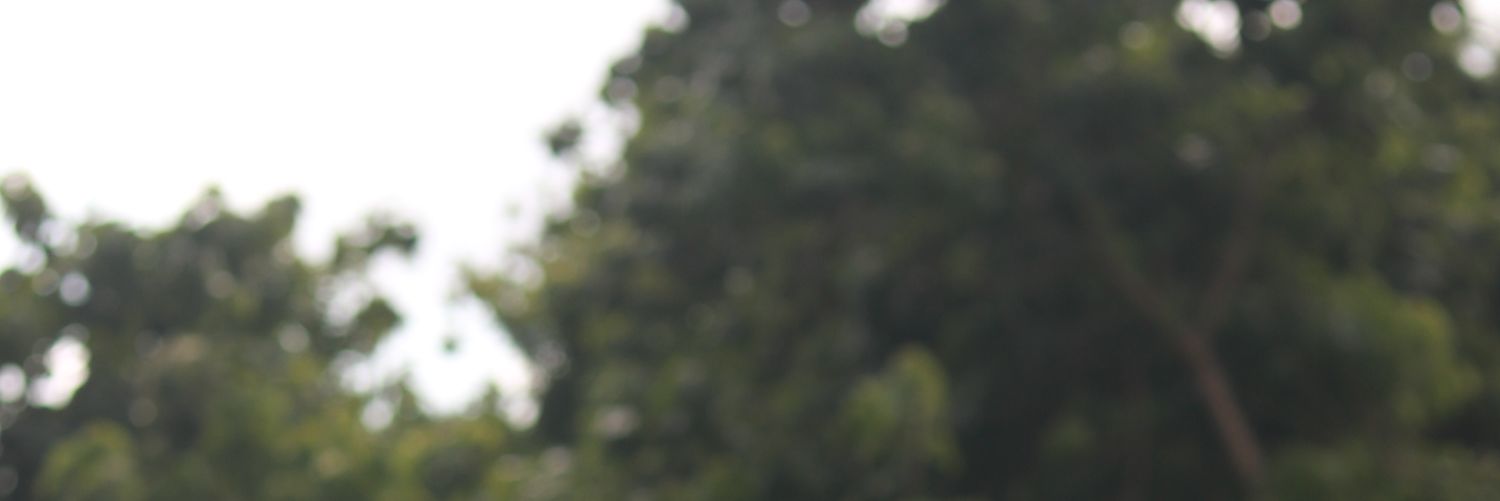 Nate__Rogue's profile banner image