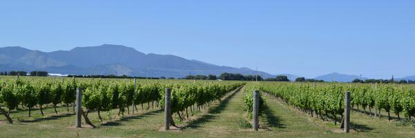 M_Willett Profile Banner