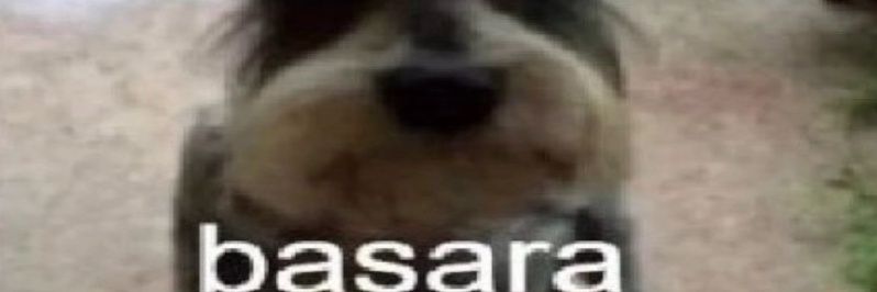 GansoNaoTaoPrivada banner