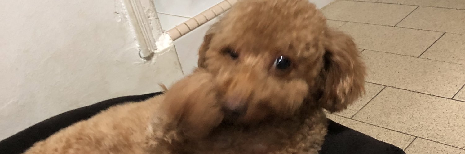ianleezy's profile banner image