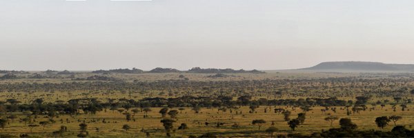goetsu Profile Banner
