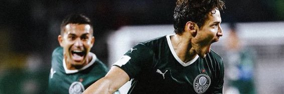 ppaulini__'s profile banner image