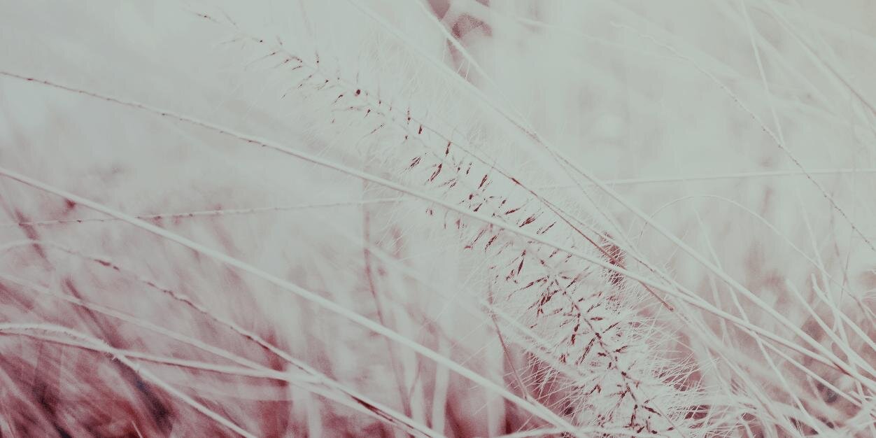 patolans's profile banner image