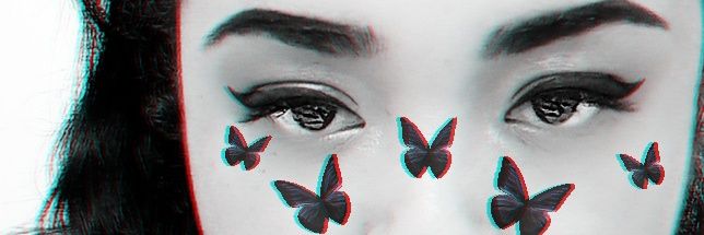 adixer's profile banner image