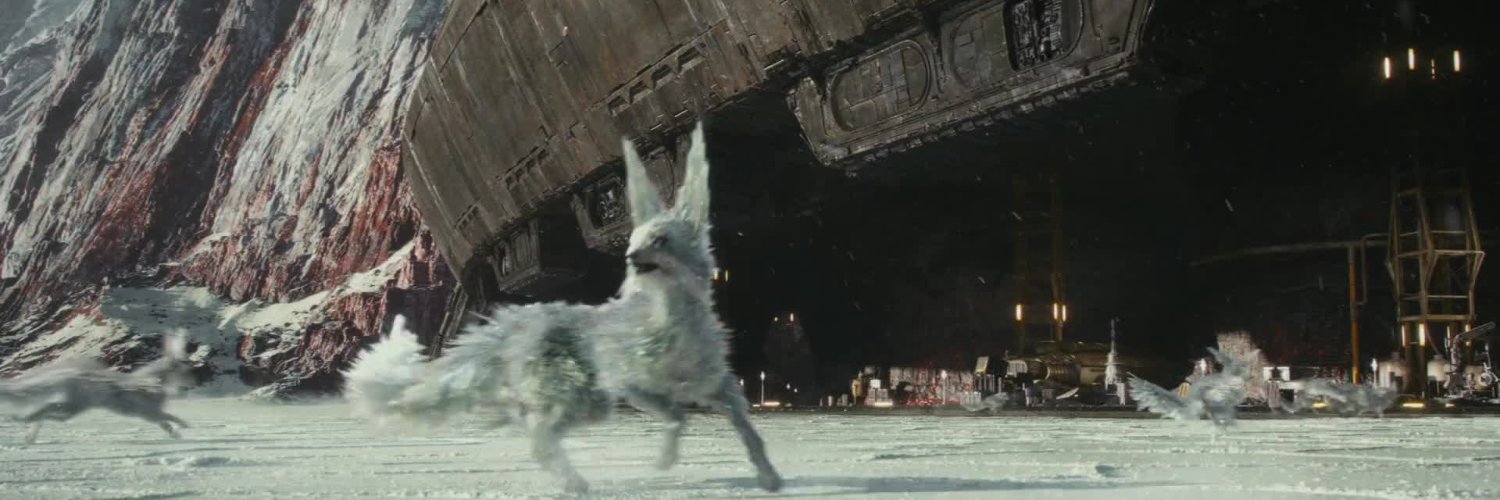 Jedi Mutt 🙏☯️🐕🏳️‍🌈☮️ banner