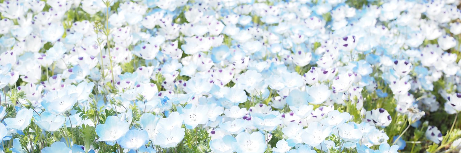 kanaapy1's profile banner image