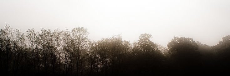 A banner