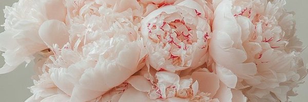 Blondie3885 Profile Banner