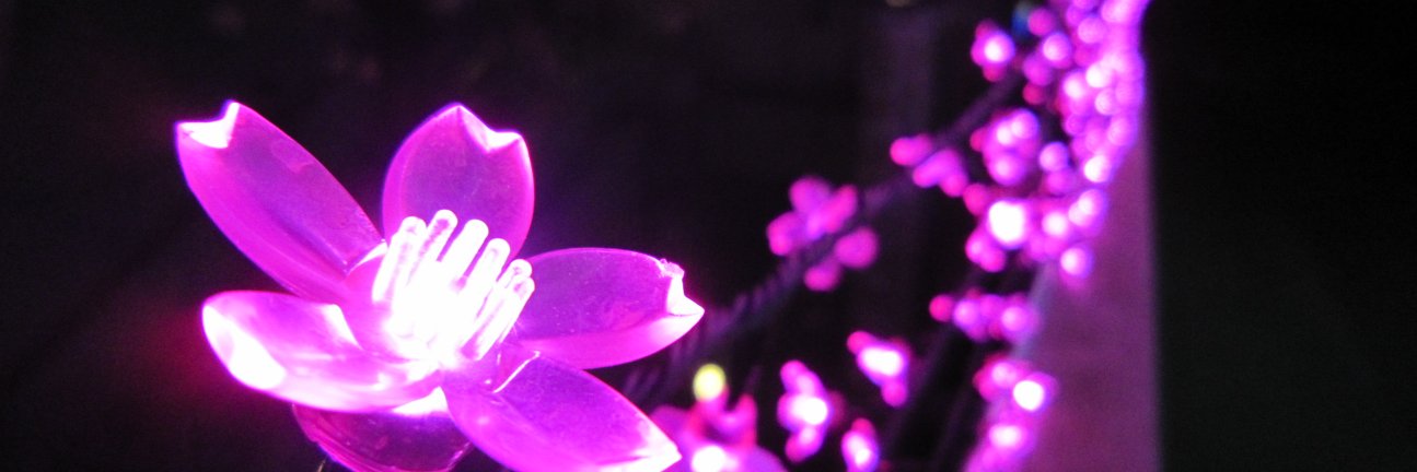 boro9327's profile banner image