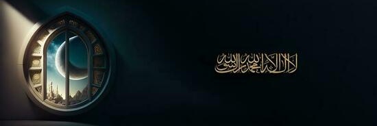 Svnior banner