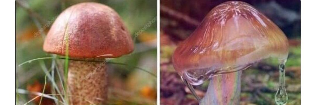 Rei Das Varinhas banner