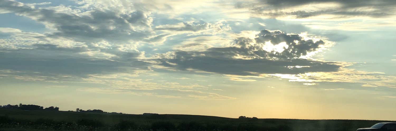 csWags's profile banner image