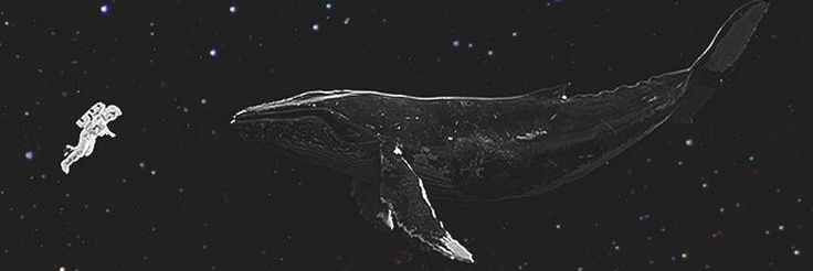 𝑬𝒓𝒊𝒄𝒌 banner