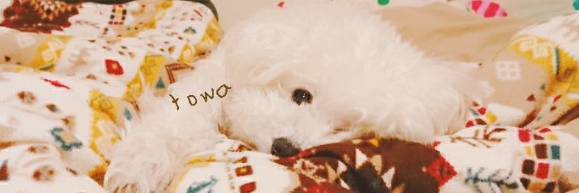 mlove108m's profile banner image