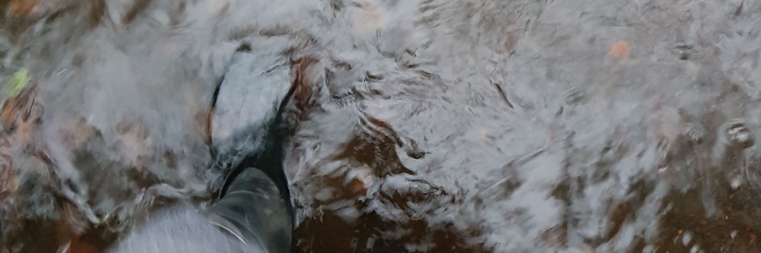 greshgurt's profile banner image