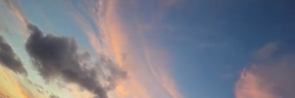 🐈‍⬛'s banner
