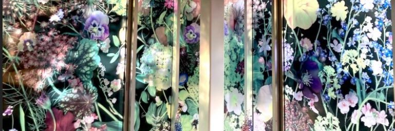 かるめら🐣 banner