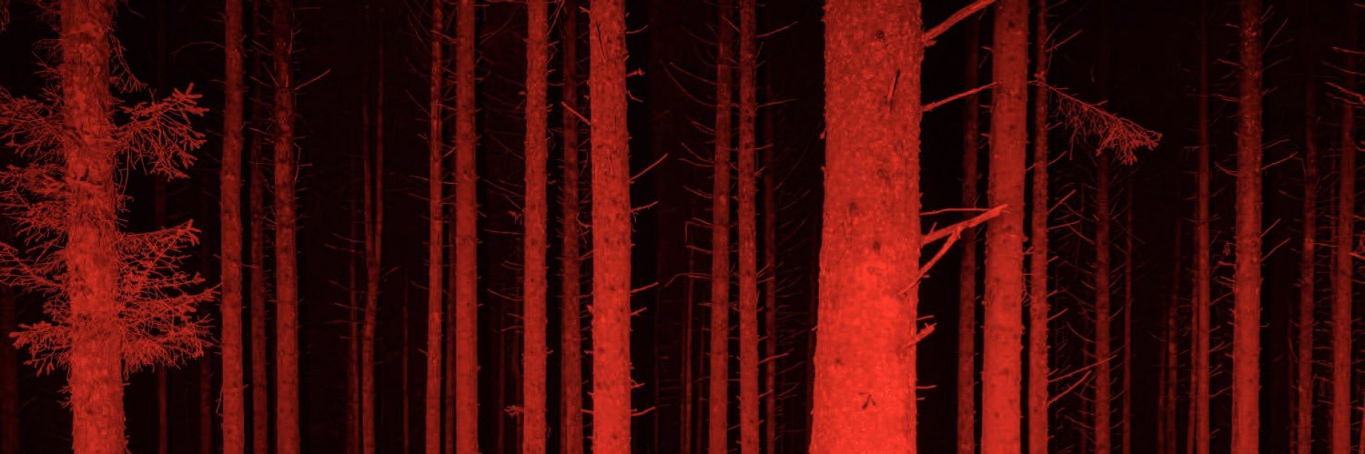 Venus's banner