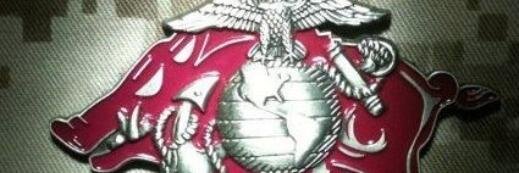 bryanbuc1's profile banner image