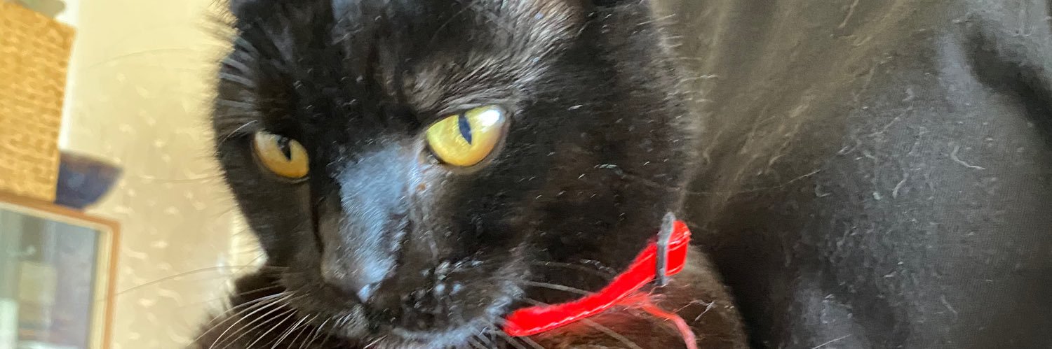 leahmaryee's profile banner image