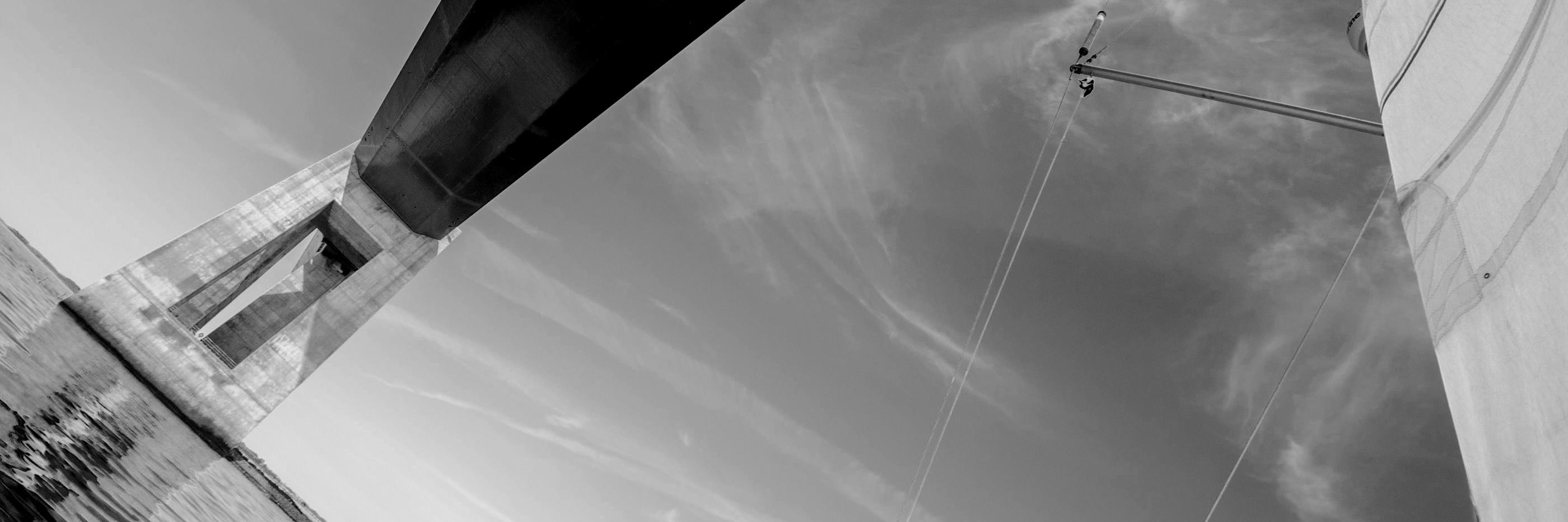 palimphread's profile banner image