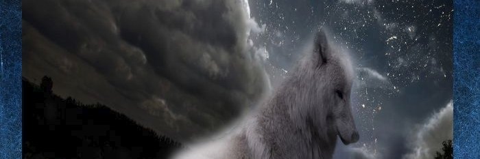 BrushstrokesDeb's profile banner image