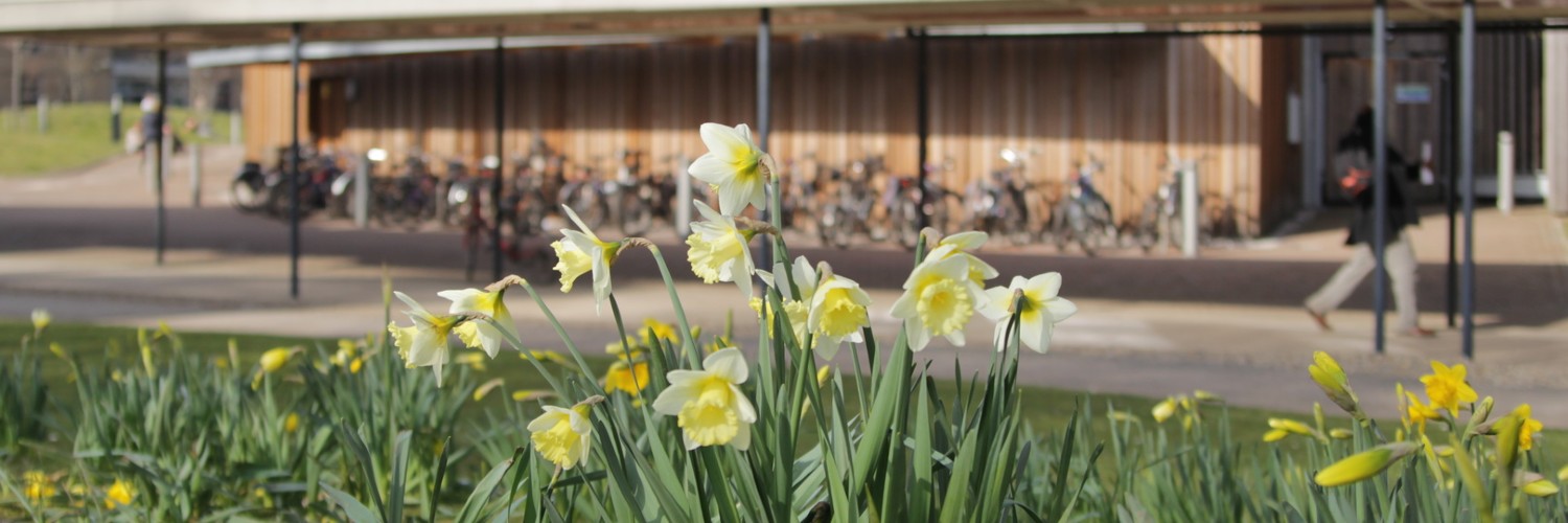 University of York Events banner