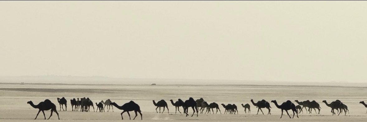 إلدوسّري . banner