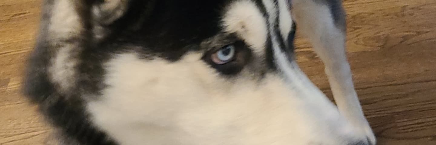 TheRealMari_R's profile banner image