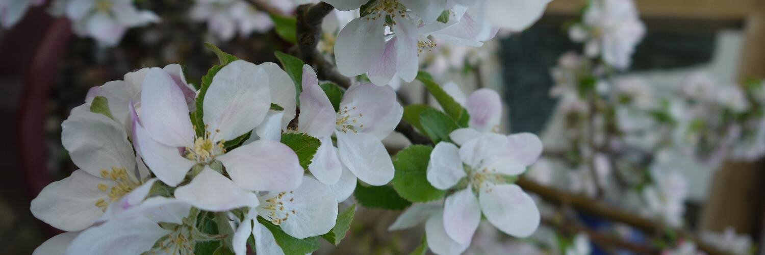 jillcoomber's profile banner image