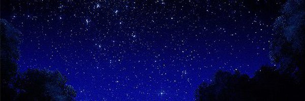 shashshy_ Profile Banner