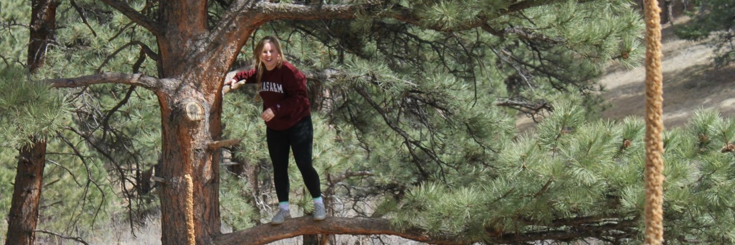 nancyfitz96's profile banner image
