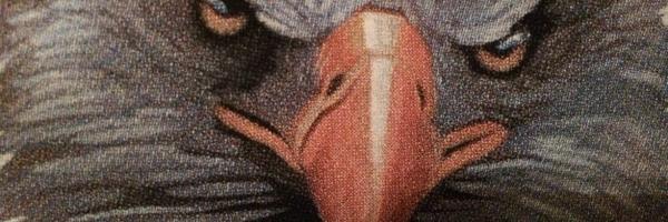 isayRAAR Profile Banner