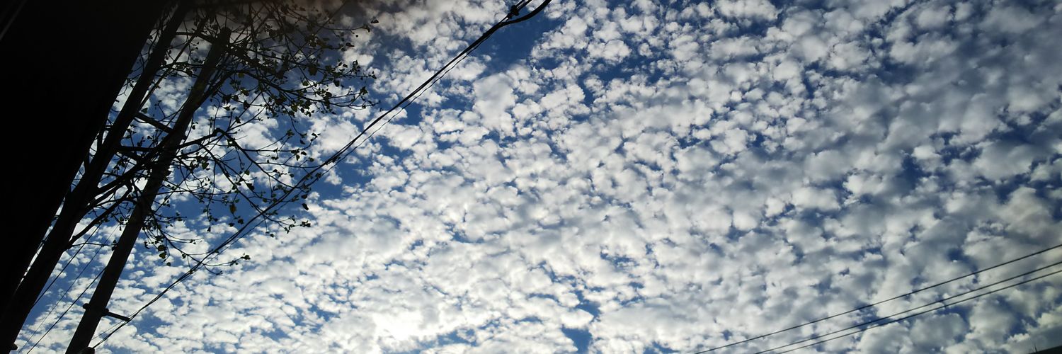 _17184b's profile banner image