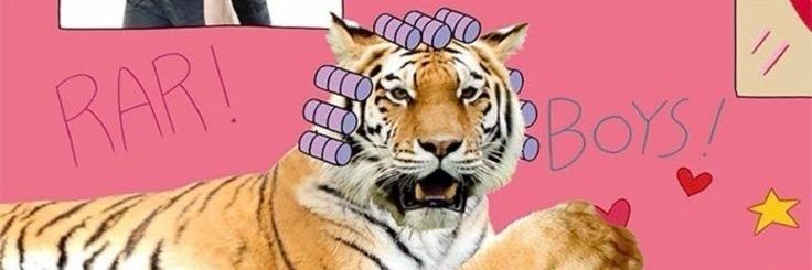 rayopy's banner