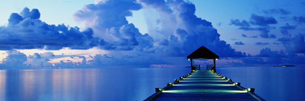 selene3581340's profile banner image